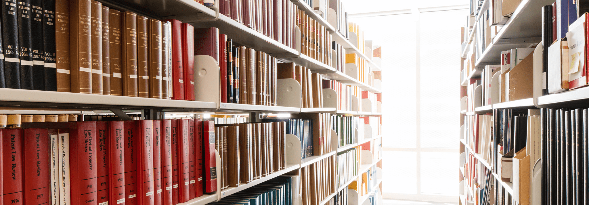 The library stacks