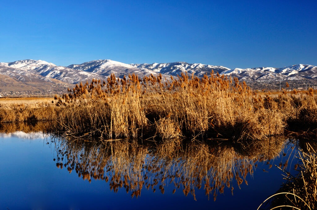 Great Salt Lake with reflection of rust-colored wetlands and mountains in the background