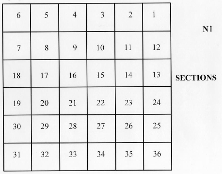 Land grid with six rows of five squares numbered (beginning in the top-right corner and going left) 1-36, with rows alternating direction of numbers