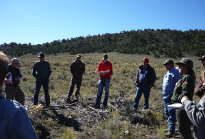 Members of working groups from Utah and Colorado meet together to observe habitat conditions after removal of conifers near sage-grouse habitat