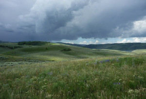 Sage-grouse nesting habitat near Strawberry Reservoir